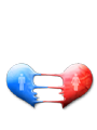 �̺�����